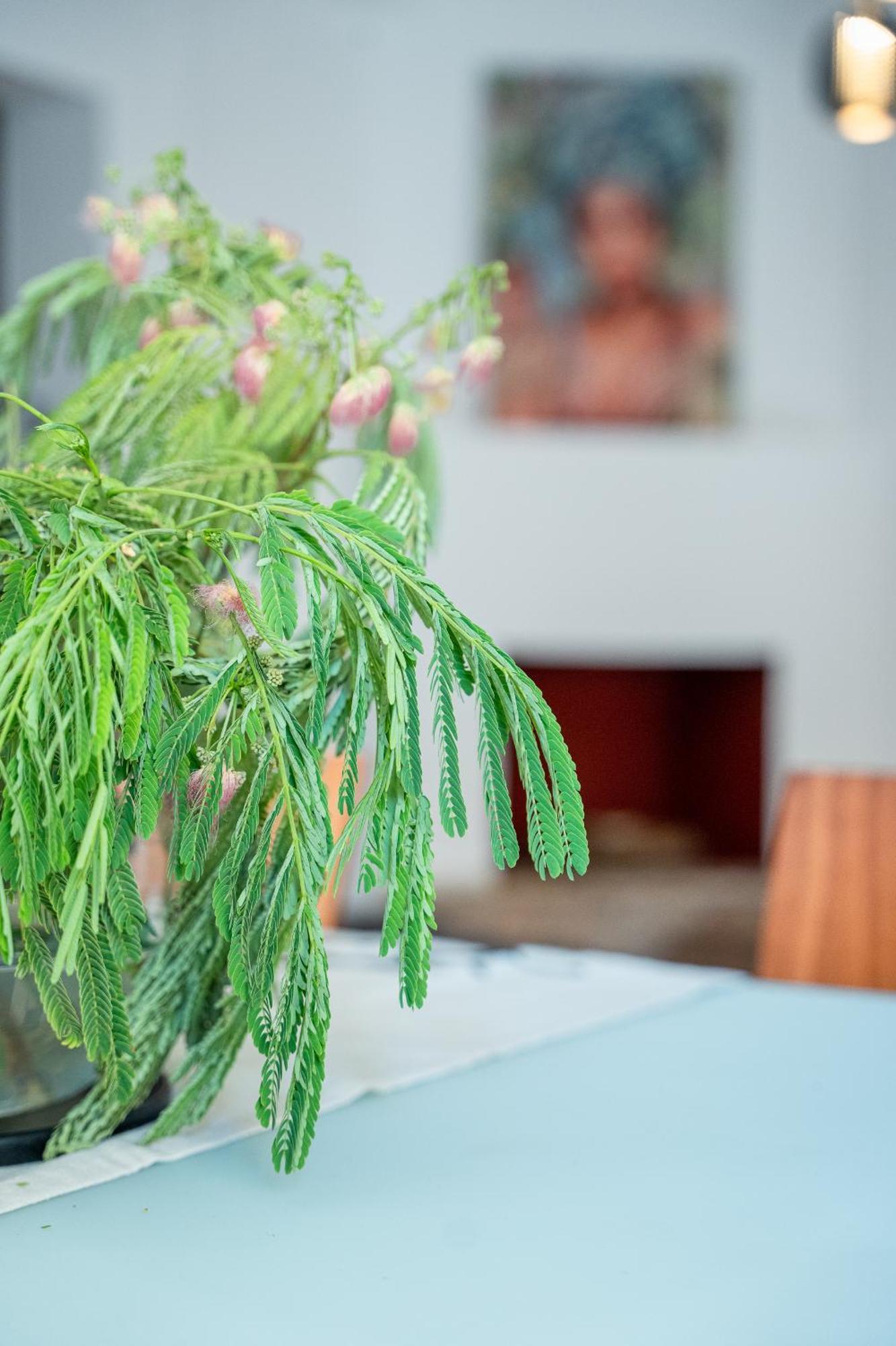 Otium Living Apartman Vólosz Kültér fotó